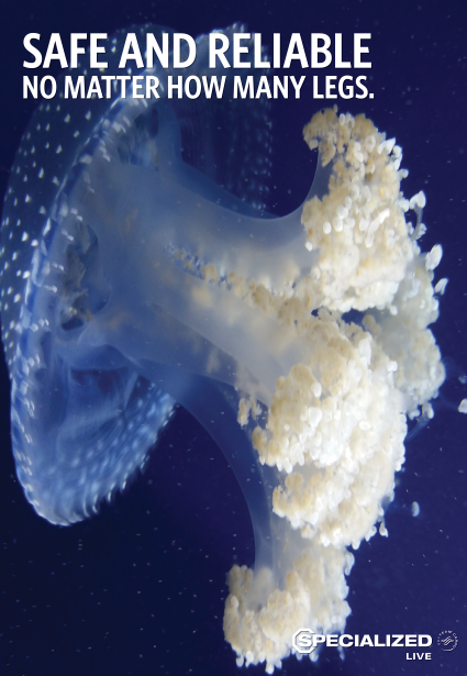 Pets Aren't Just Freight. They're Family