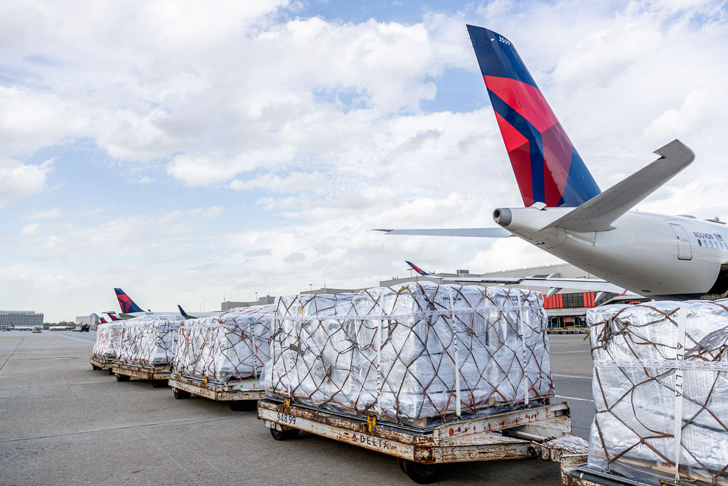 Delta cargo pets shop